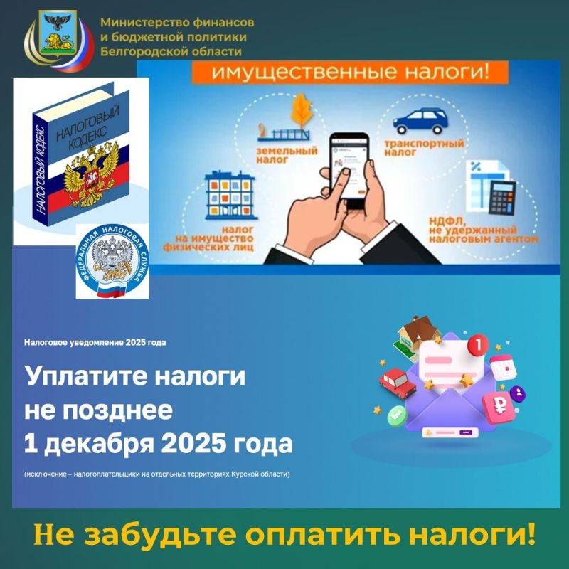 Продолжается массовая рассылка налоговых уведомлений для уплаты физическими лицами транспортного и земельного налогов, а также налога на имущество за 2024 год