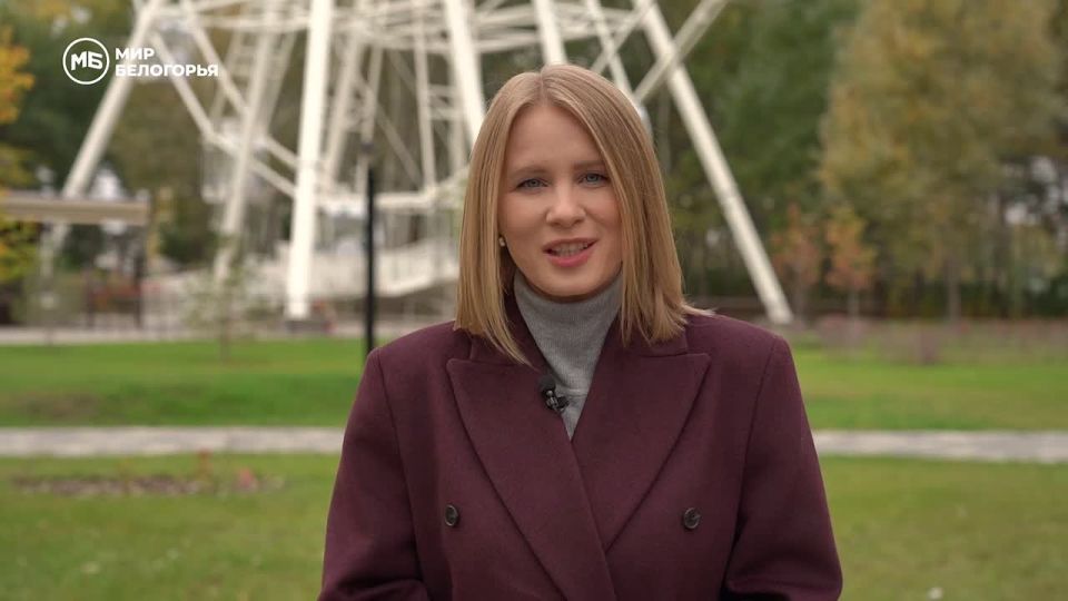 Химик против «Колеса времени»