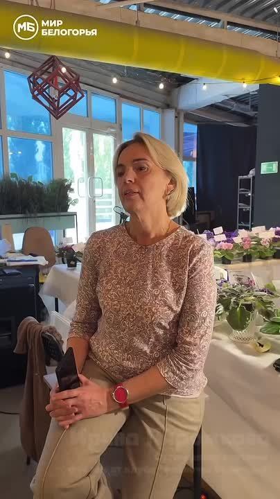 В Белгороде проходит выставка фиалок