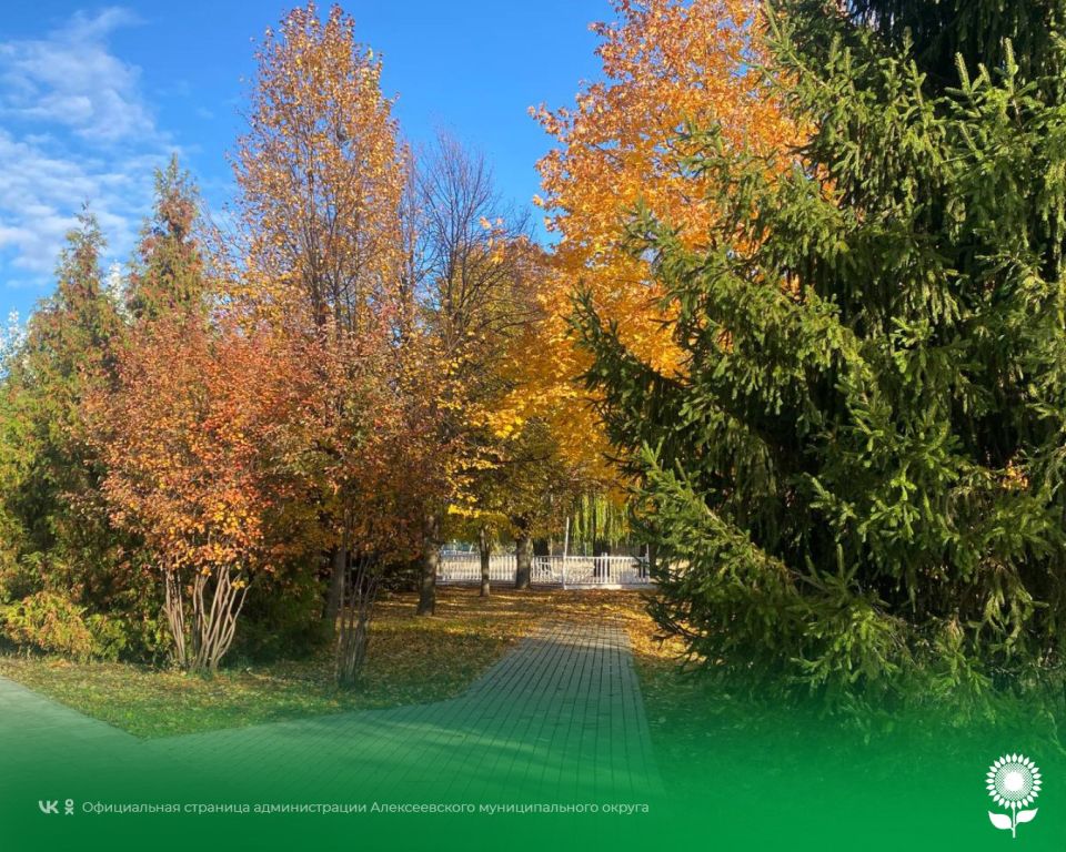 19 октября. Температура воздуха 13°C, облачно, без осадков