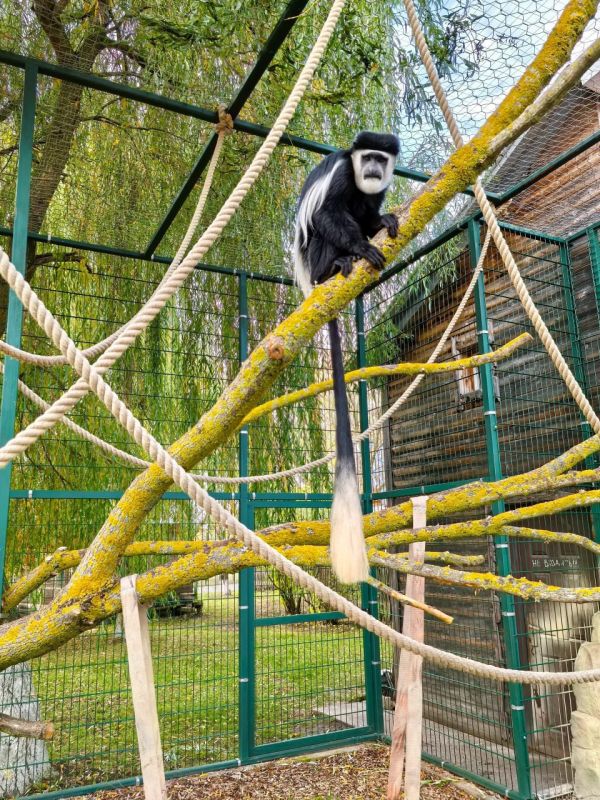 В Старооскольском зоопарке экзотическое пополнение!