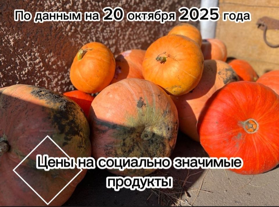 Владимир Переверзев: Где дешевле всего купить необходимые продукты в посёлке Борисовка