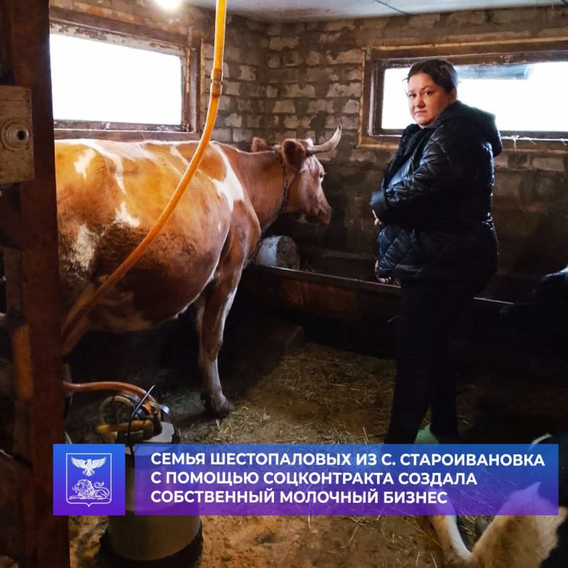 В августе 2025 года семья Олеси Геннадьевны и Юрия Васильевича Шестопаловых из села Староивановка заключила социальный контракт, став ярким примером эффективного использования поддержки от государства