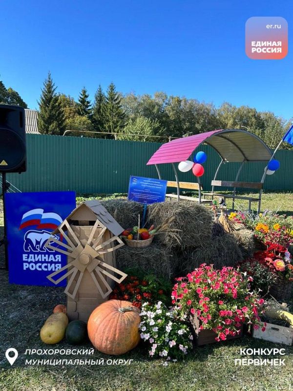 Новое культурное пространство: творческие встречи и кино под открытым небом