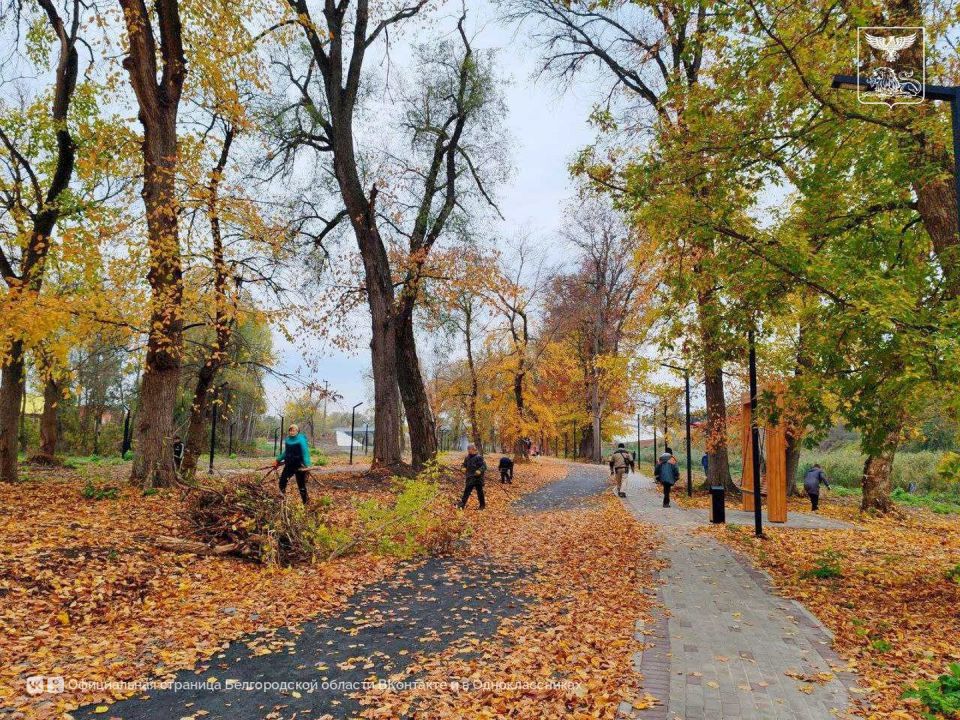 В Валуйках провели субботник