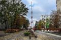 На бульвар Первого салюта возвращаются розы