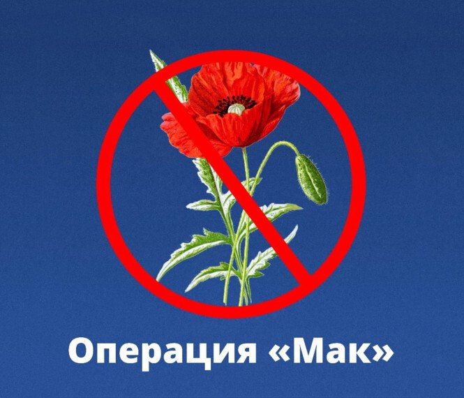   2025.                      18487  ...