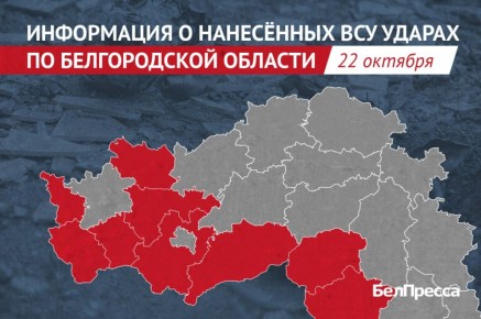 За сутки 124 дрона ВСУ атаковали 9 муниципалитетов Белгородской области