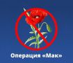 «Мак – 2025». На территории Губкинского городского округа в текущем году главами сельских администраций совместно с общественными организациями и ОМВД России «Губкинский» проведено обследование 18487 частных домохозяйств...
