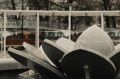 Сегодня, 23 октября, в Белгороде будет пасмурно, местами дождь