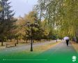 23 октября. Температура воздуха 10°C, ясно, без осадков