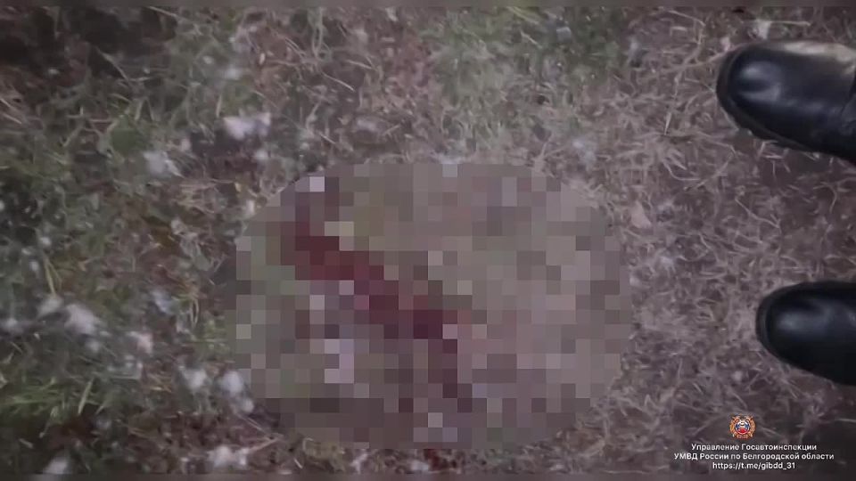 #_.   ,   19  15   .  . ,  ,       ,  ...