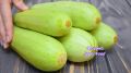 Кабачки по-венгерски: быстро и вкусно за 15 минут