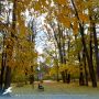 Доброе осеннее утро!. Осень – это не просто время года, это настоящий источник вдохновения! Пусть листья кружатся в танце, а природа создаёт свои неповторимые шедевры