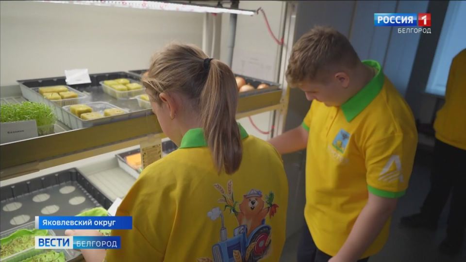 1234         1      ,     