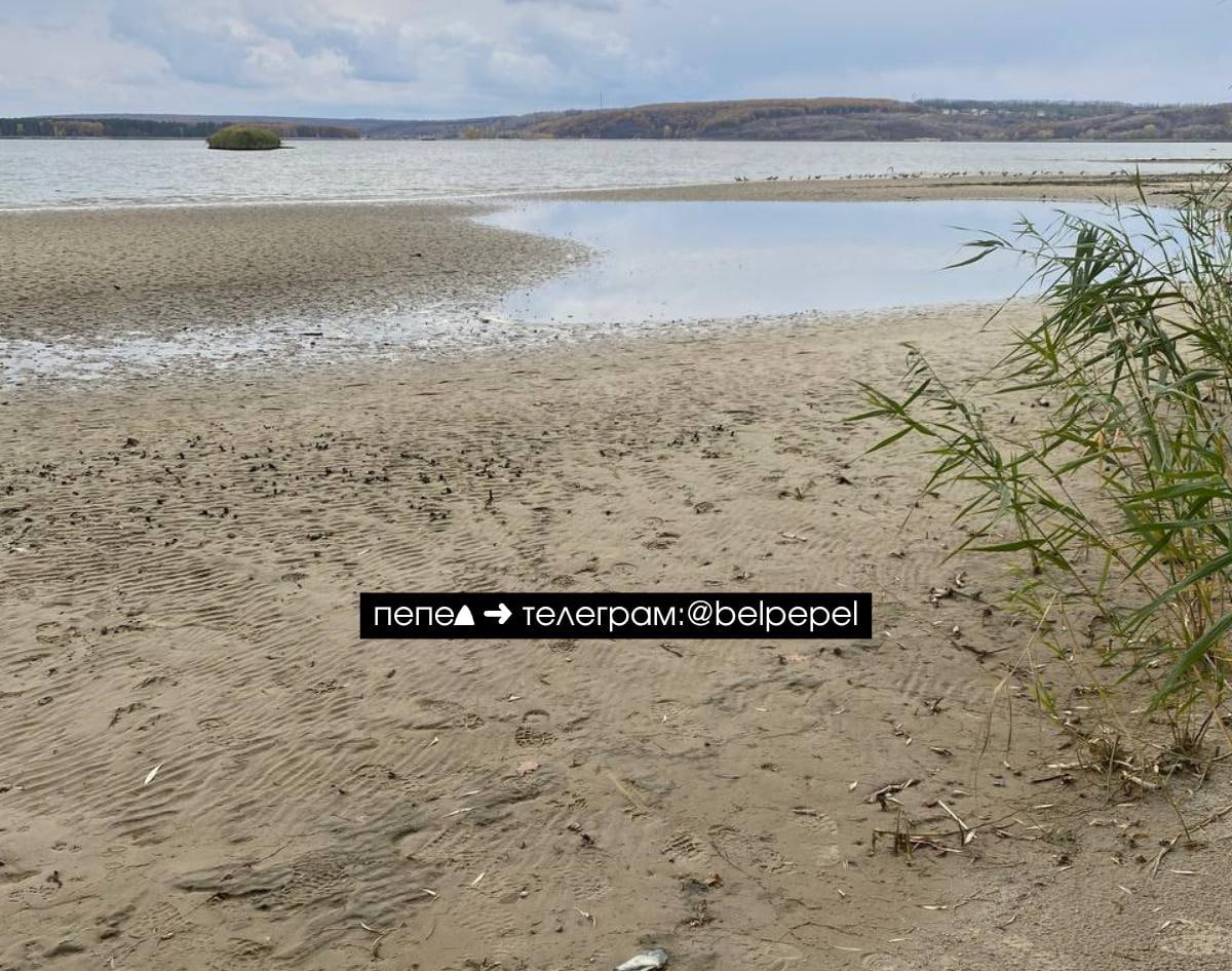 После сброса воды фиксируется понижение ее уровня в Белгородском водохранилище примерно на метр (села Нижний Ольшанец и Маслова Пристань), а также, соответственно, его повышение в селах ниже по течению (Безлюдовка, Нежиголь) После сброса воды фиксируется понижение ее уровня в Белгородском водохранилище примерно на метр (села Нижний Ольшанец и Маслова Пристань), а также, соответственно, его повышение в селах ниже по течению (Безлюдовка, Нежиголь)