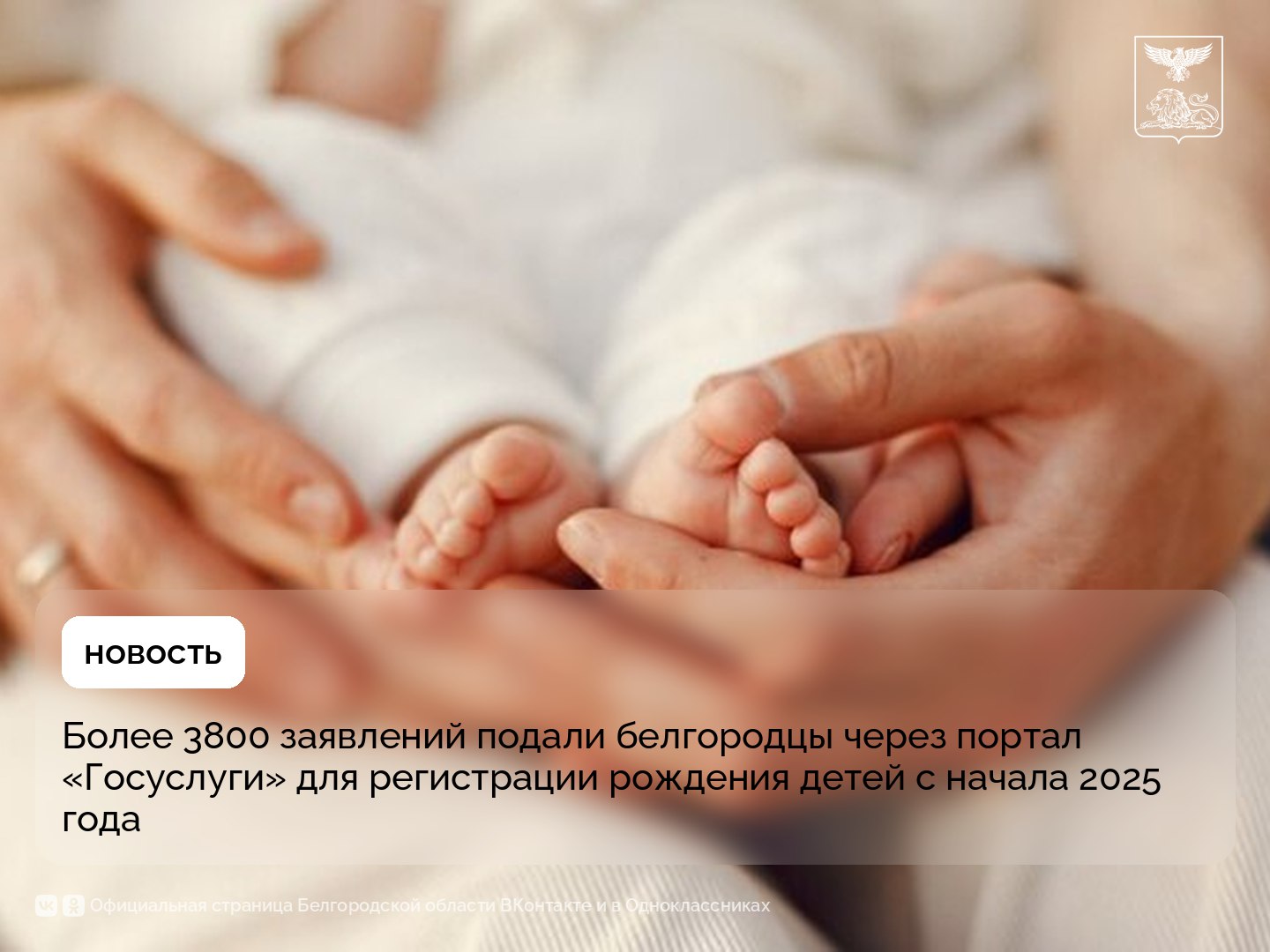 Более 3800 заявлений подали белгородцы через портал «Госуслуги» для регистрации рождения детей с начала 2025 года