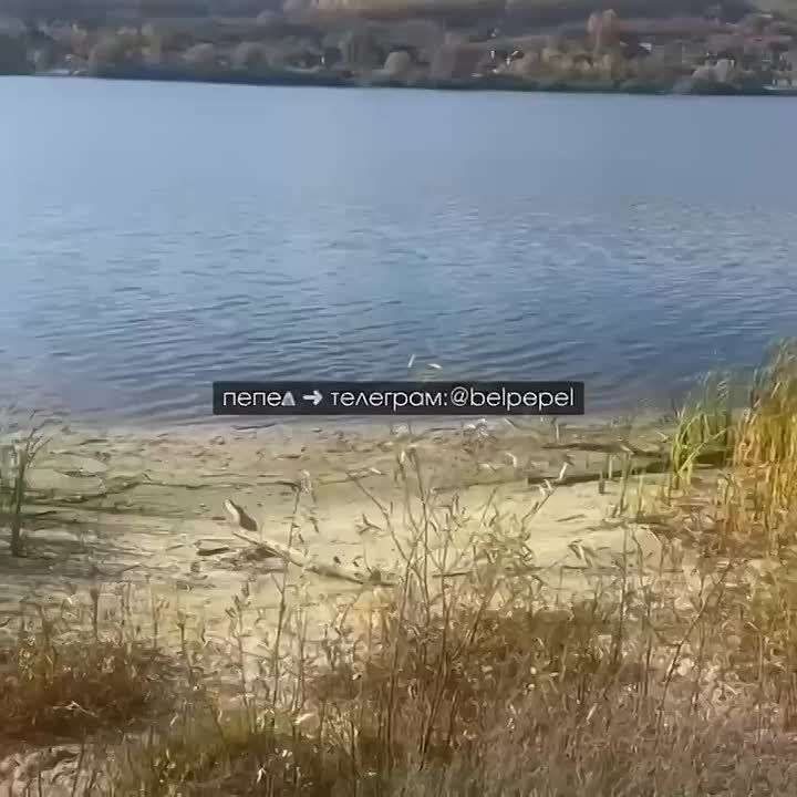 Украинские террористы третий день бьют по плотине Белгородского водохранилища предположительно из «Хаймарсов» и дронов