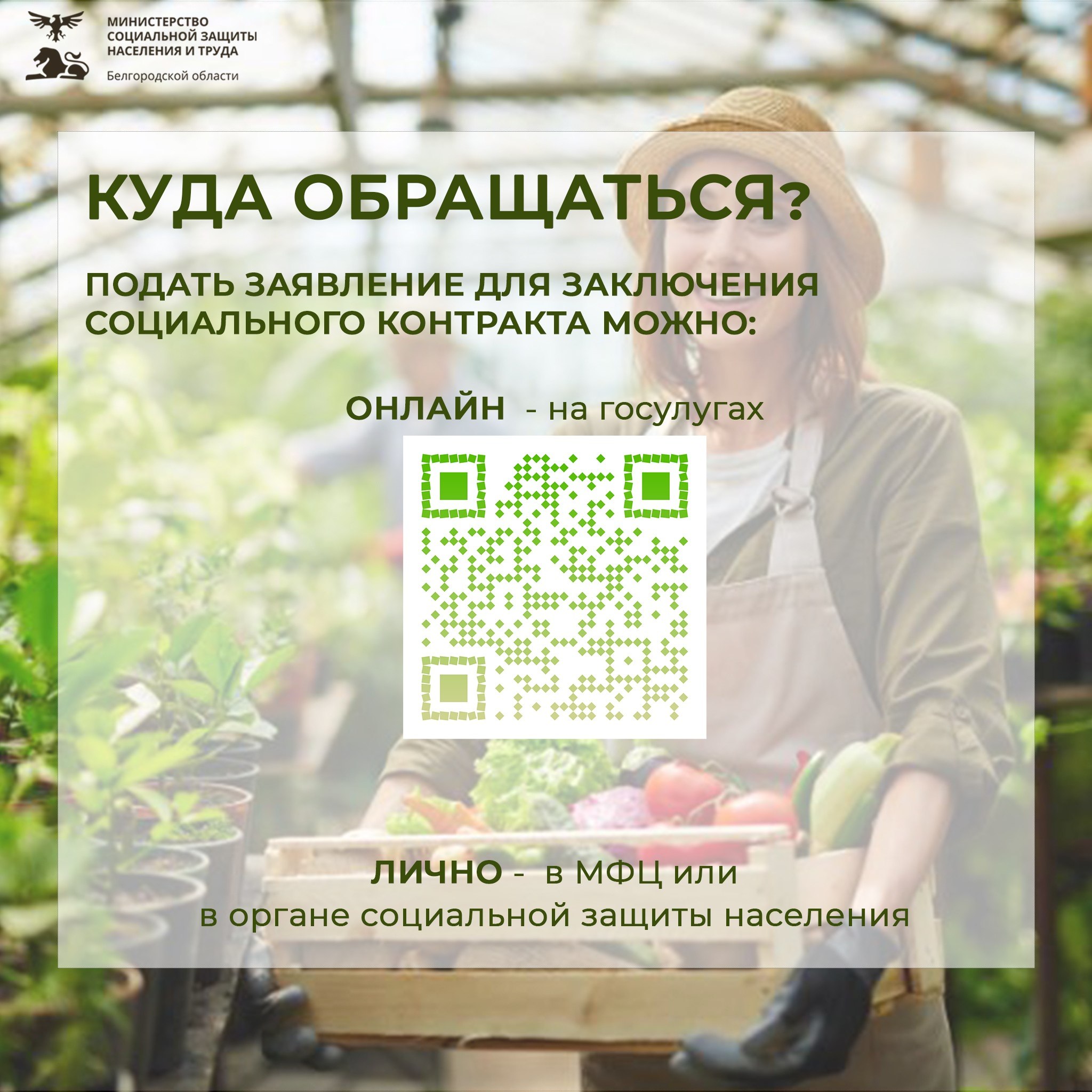 Социальный контракт: твой шанс начать или развить свое личное подсобное хозяйство и обеспечить семью Социальный контракт: твой шанс начать или развить свое личное подсобное хозяйство и обеспечить семью