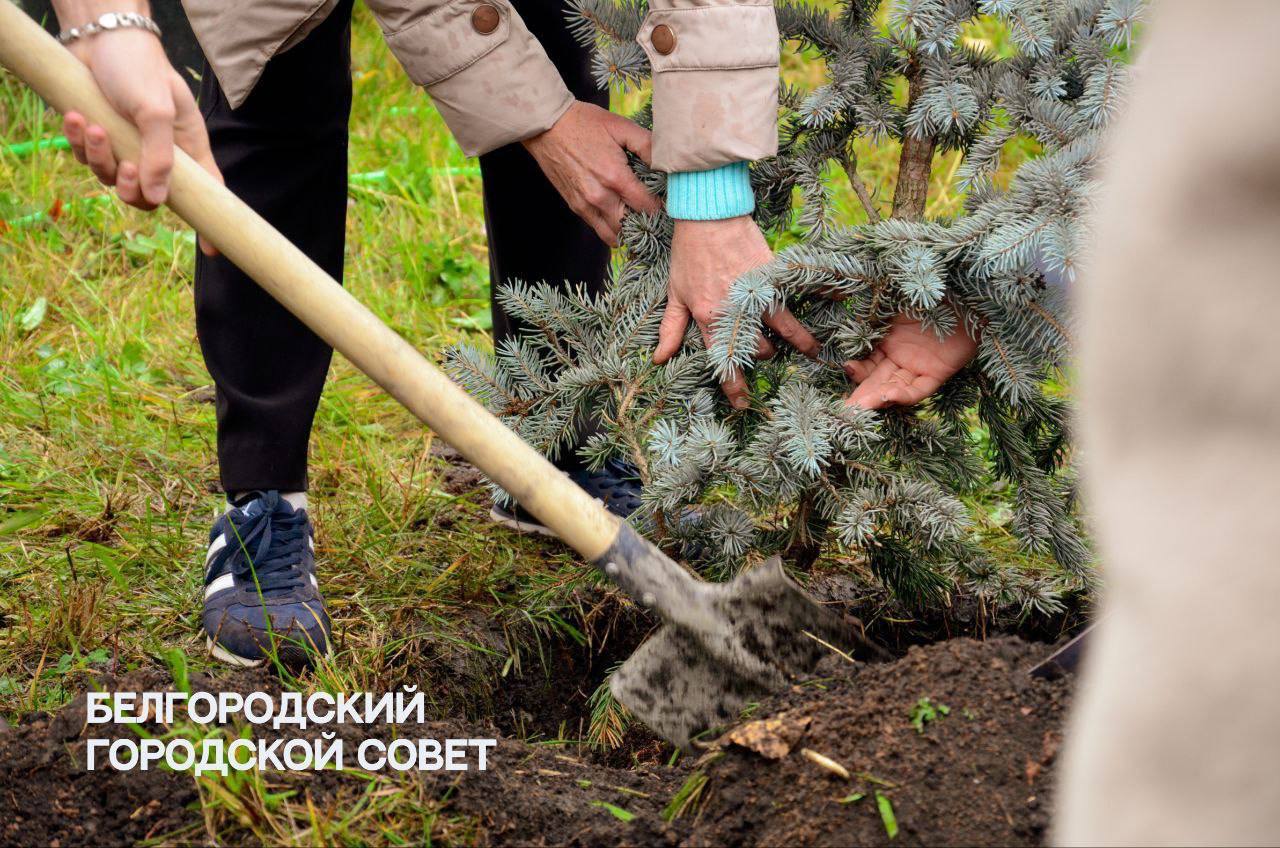 Двор школы №39 преображается после капитального ремонта Двор школы №39 преображается после капитального ремонта