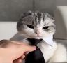 Короткая рабочая неделя в России начнётся с шестидневки