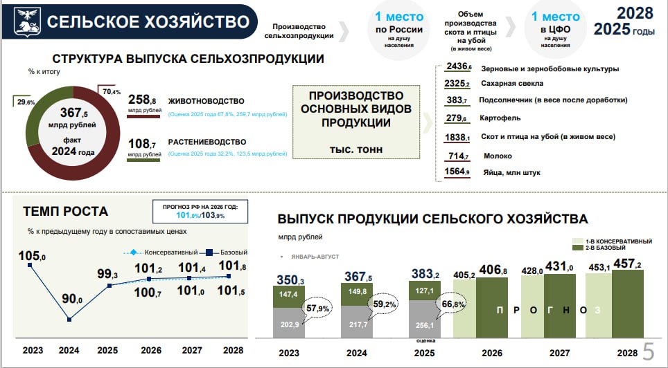 Белгородская область: развитие продолжается, несмотря на вызовы Белгородская область: развитие продолжается, несмотря на вызовы