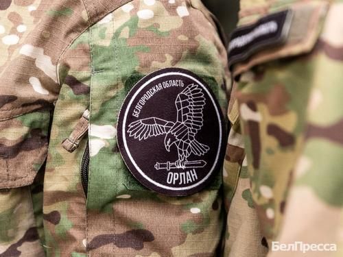Бойцов белгородского «Орлана» попросили приравнять к ветеранам боевых действий
