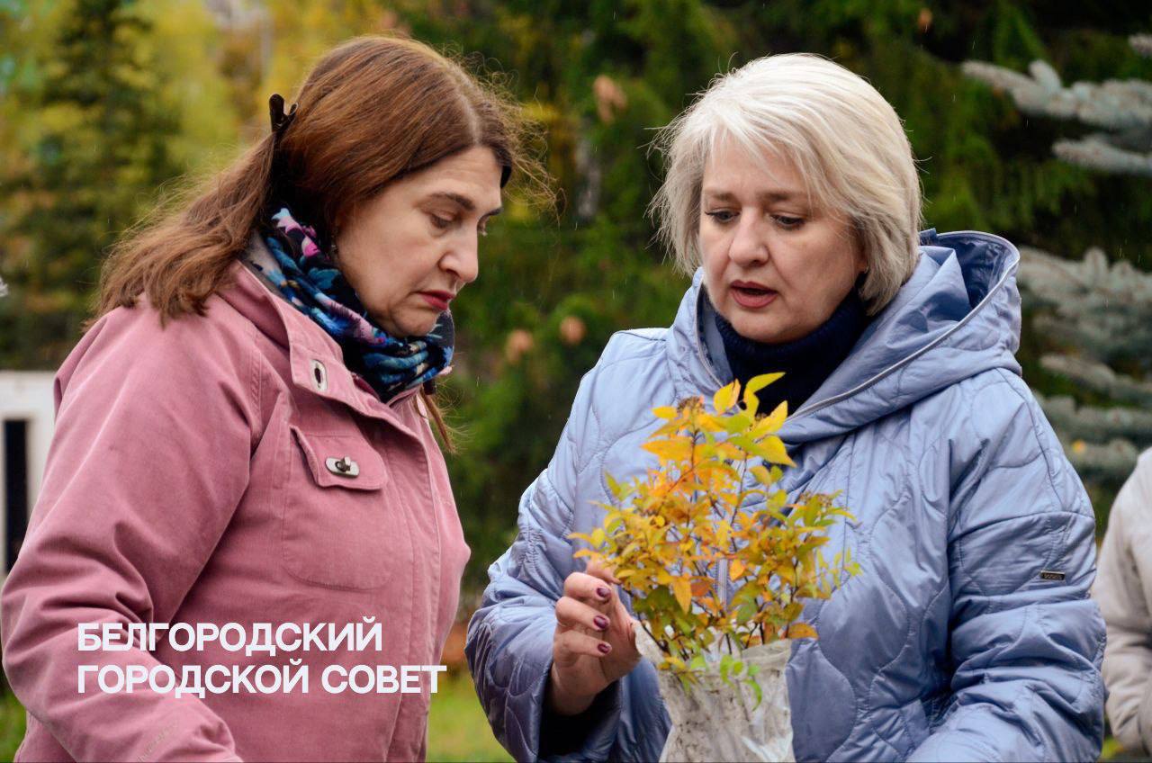 Двор школы №39 преображается после капитального ремонта Двор школы №39 преображается после капитального ремонта