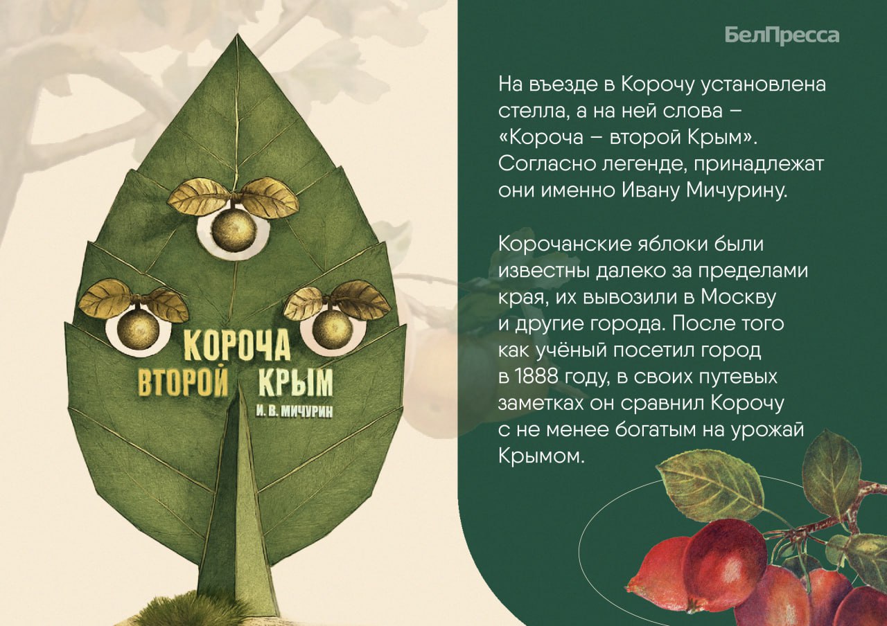Его фамилию можно встретить на фасадах зданий Белгорода, а его самого – на самокате в парке в центре города Его фамилию можно встретить на фасадах зданий Белгорода, а его самого – на самокате в парке в центре города