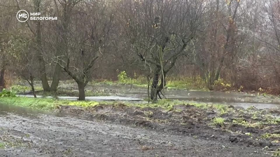 Власти Шебекинского округа: вода остаётся в русле реки