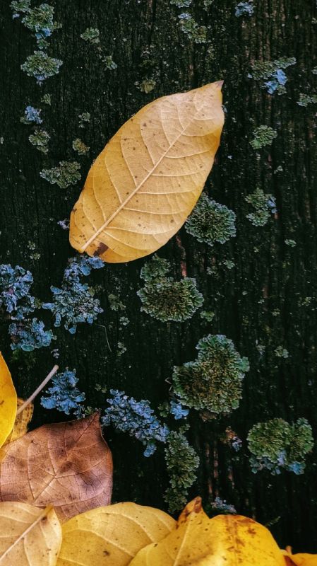 Шестидневная рабочая неделя начинается с сегодняшнего дня