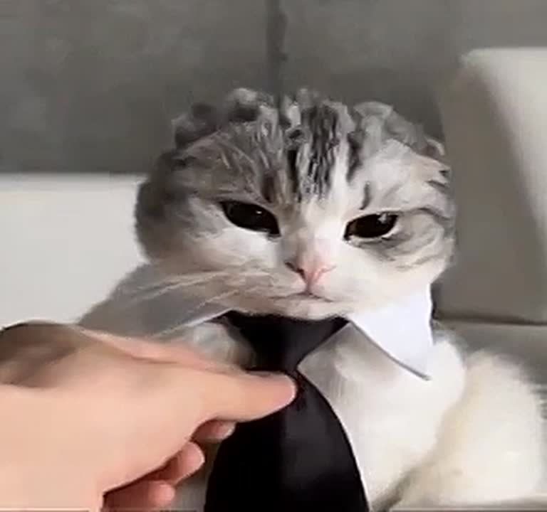 Короткая рабочая неделя в России начнётся с шестидневки