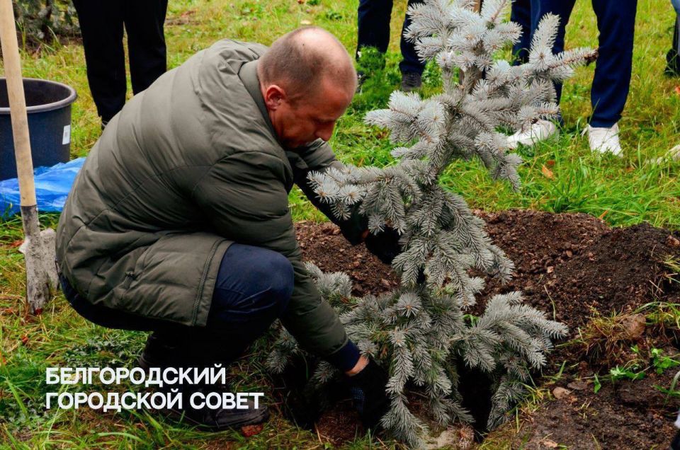 Двор школы №39 преображается после капитального ремонта