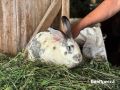 Соцконтракт помог отцу и сыну из Красненского района вести своё дело