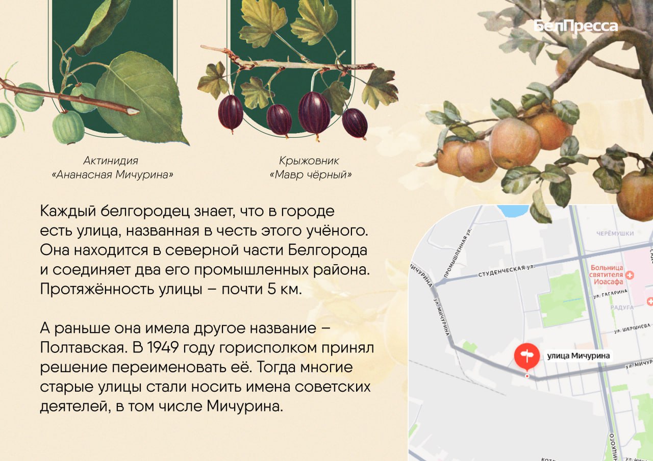 Его фамилию можно встретить на фасадах зданий Белгорода, а его самого – на самокате в парке в центре города Его фамилию можно встретить на фасадах зданий Белгорода, а его самого – на самокате в парке в центре города