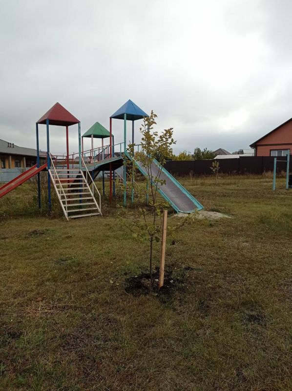 Татьяна Круглякова: В микрорайоне Разумное-71 стало уютнее и зеленее!