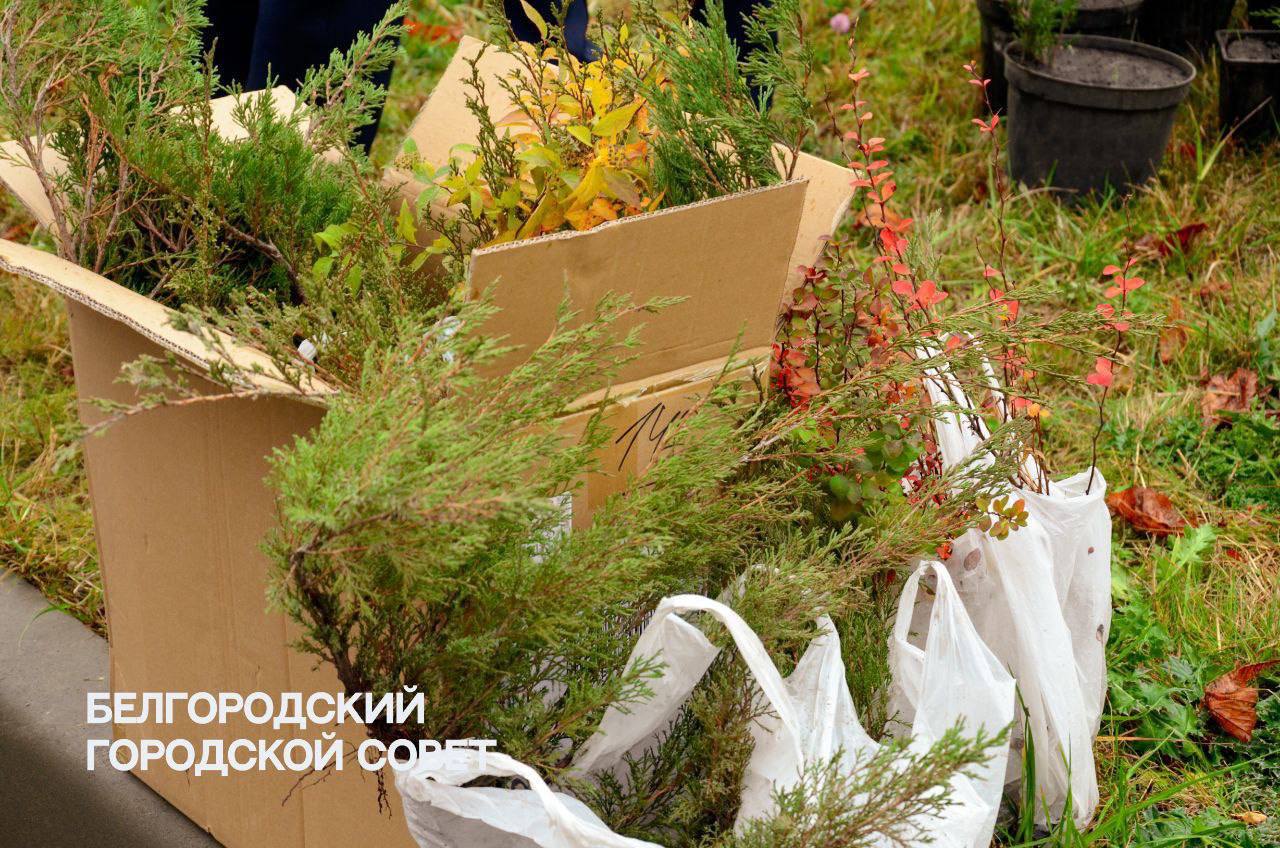 Двор школы №39 преображается после капитального ремонта Двор школы №39 преображается после капитального ремонта