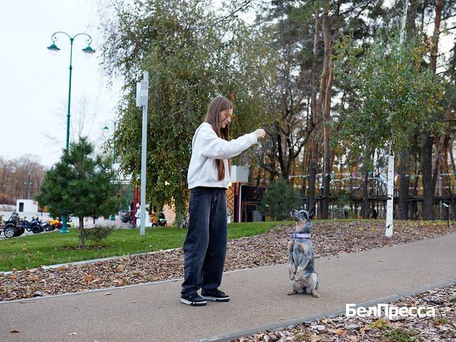В Белгороде прошёл благотворительный фестиваль «Котопёс» В Белгороде прошёл благотворительный фестиваль «Котопёс»