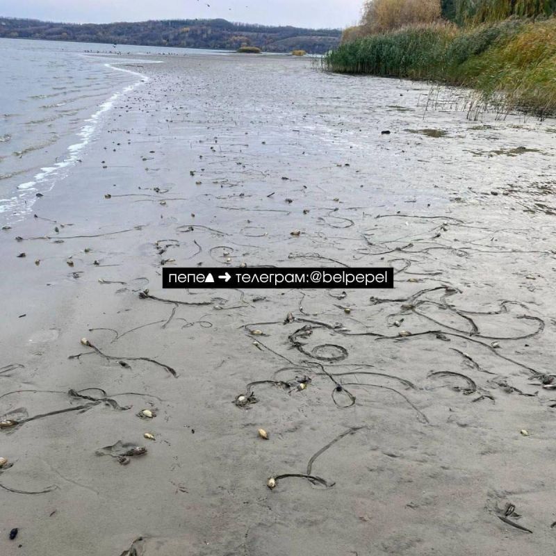 Уровень воды в Белгородском водохранилище упал на метр после ударов ВСУ
