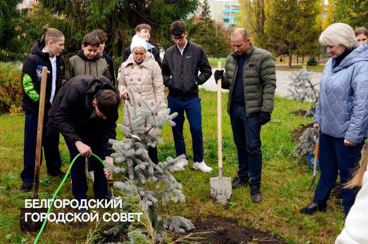 Двор школы №39 преображается после капитального ремонта Двор школы №39 преображается после капитального ремонта