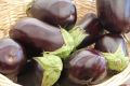 Как приготовить баклажаны в духовке: лучшие рецепты, по которым вкуснятина получается даже у начинающей хозяйки