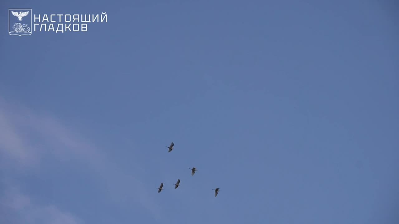 Вячеслав Гладков: Сегодня вместе с владыкой Иоанном и председателем областной Думы Юрием Николаевичем Клепиковым вручили государственные награды Российской Федерации семьям наших героев, отдавших жизнь при исполнении задач...