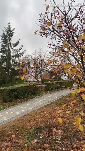 Доброе утро, старооскольцы!