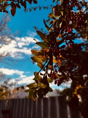 Погода 29 октября. Сегодня в Белгороде пасмурная погода с дождём