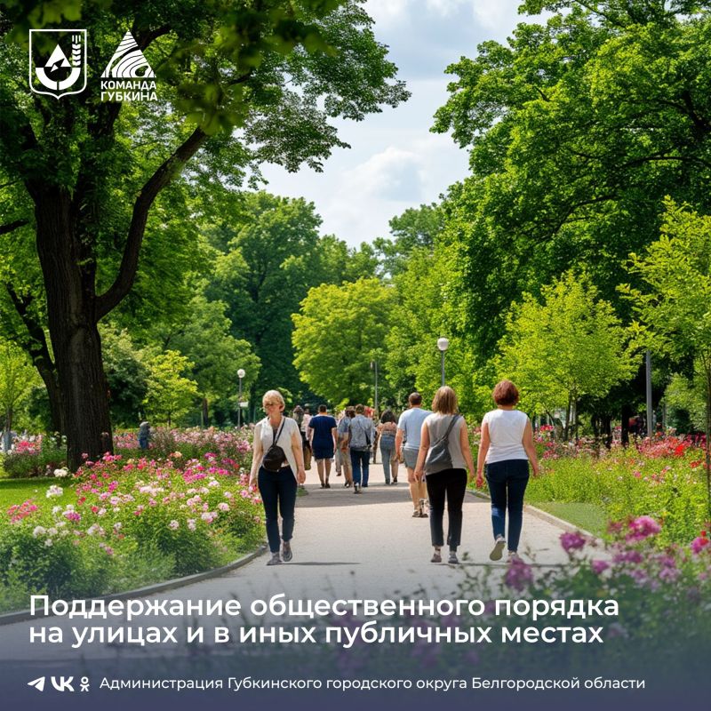 Профилактика правонарушений