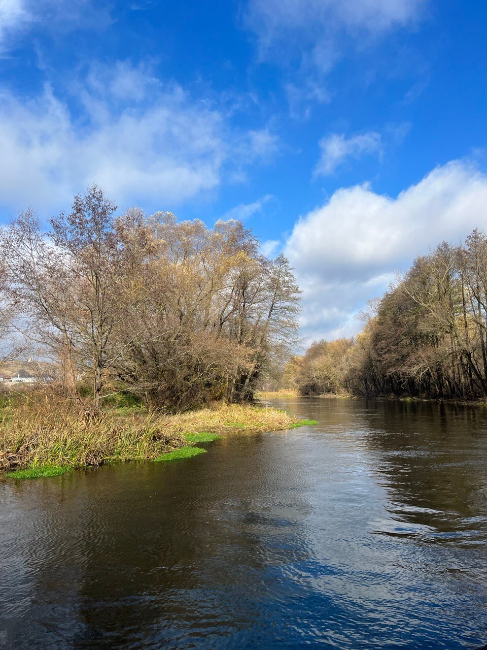 Важная новость для жителей Чернянского района! Важная новость для жителей Чернянского района!