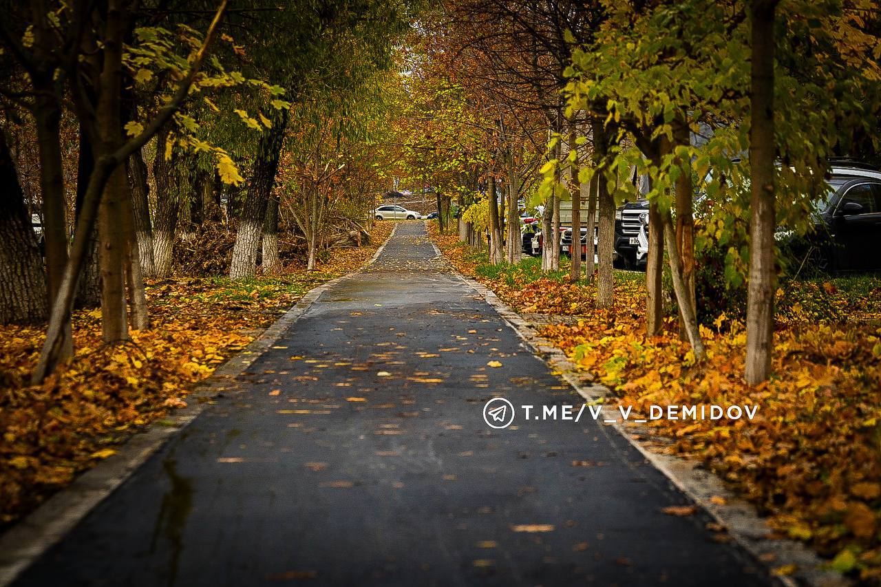 В Белгороде уже асфальтировали часть велодорожки от ул. Мичурина до ул. Студенческой В Белгороде уже асфальтировали часть велодорожки от ул. Мичурина до ул. Студенческой