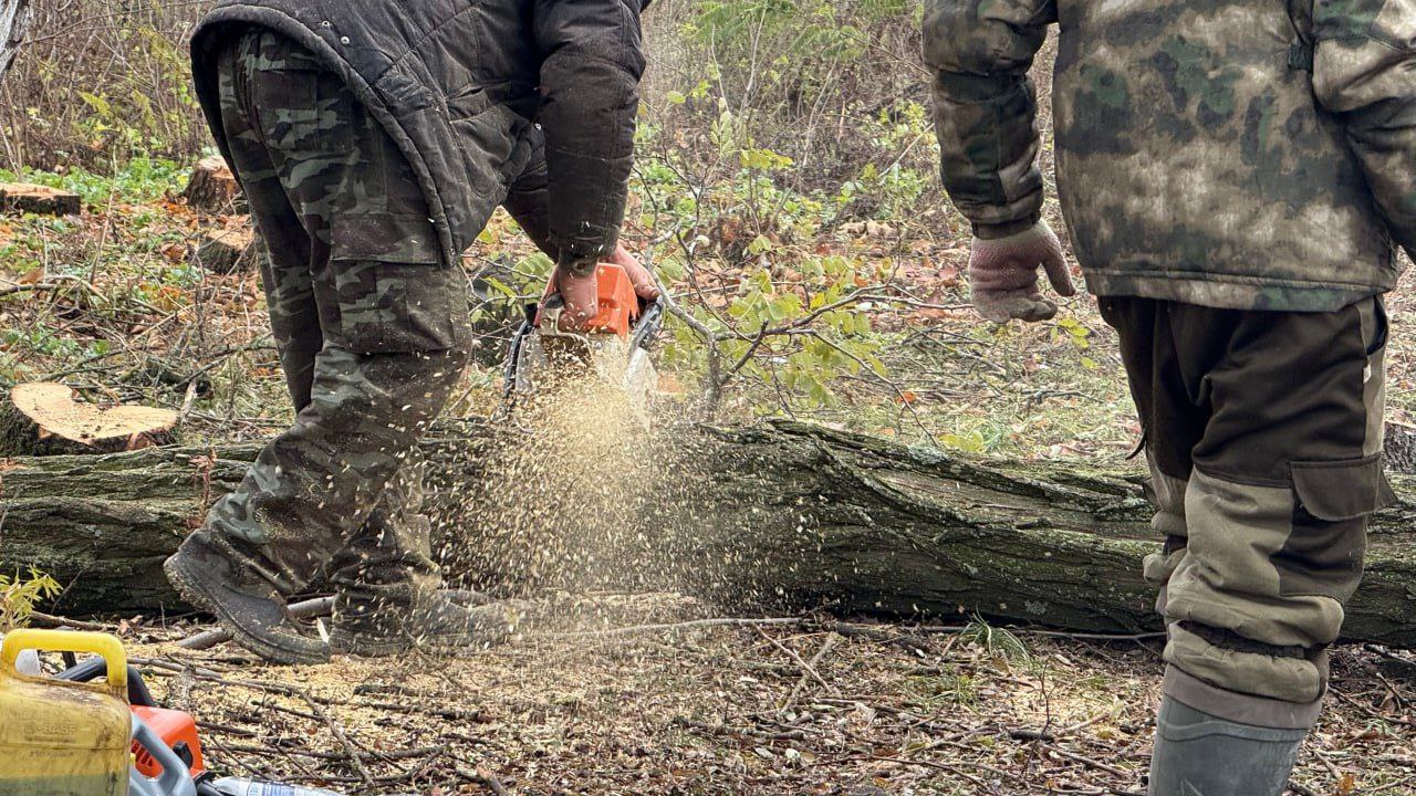 В области продолжается заготовка древесины, чтобы в случае ЧС обеспечить частные дома с печным отоплением В области продолжается заготовка древесины, чтобы в случае ЧС обеспечить частные дома с печным отоплением
