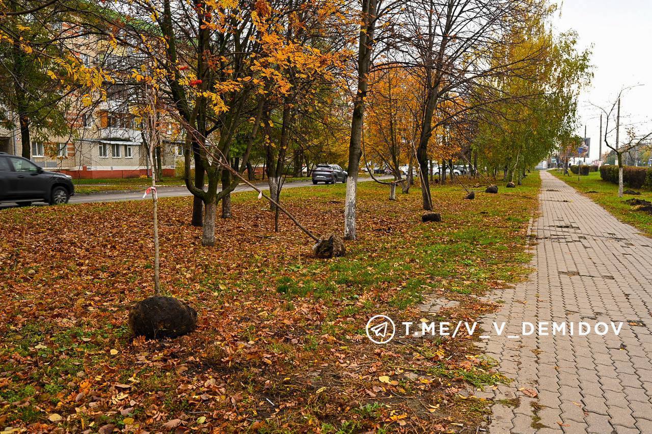 Валентин Демидов: Облик города формирует его ландшафт и озеленение Валентин Демидов: Облик города формирует его ландшафт и озеленение
