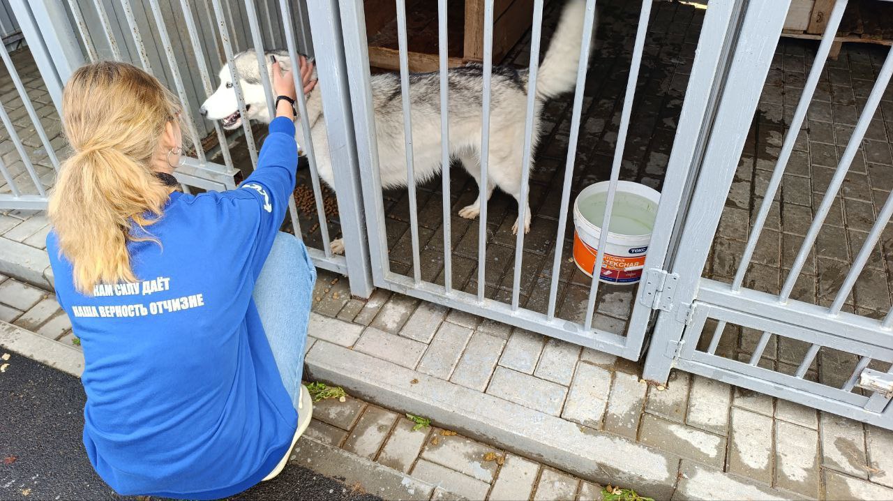 Олег Медведев: Сегодня Молодогвардейцы совместно с Экоохотнадзором Белгородской области в рамках Федерального партийного проекта «Защита Животного Мира» оказали гуманитарную помощь Яковлевскому приюту запасом корма Олег Медведев: Сегодня Молодогвардейцы совместно с Экоохотнадзором Белгородской области в рамках Федерального партийного проекта «Защита Животного Мира» оказали гуманитарную помощь Яковлевскому приюту запасом корма
